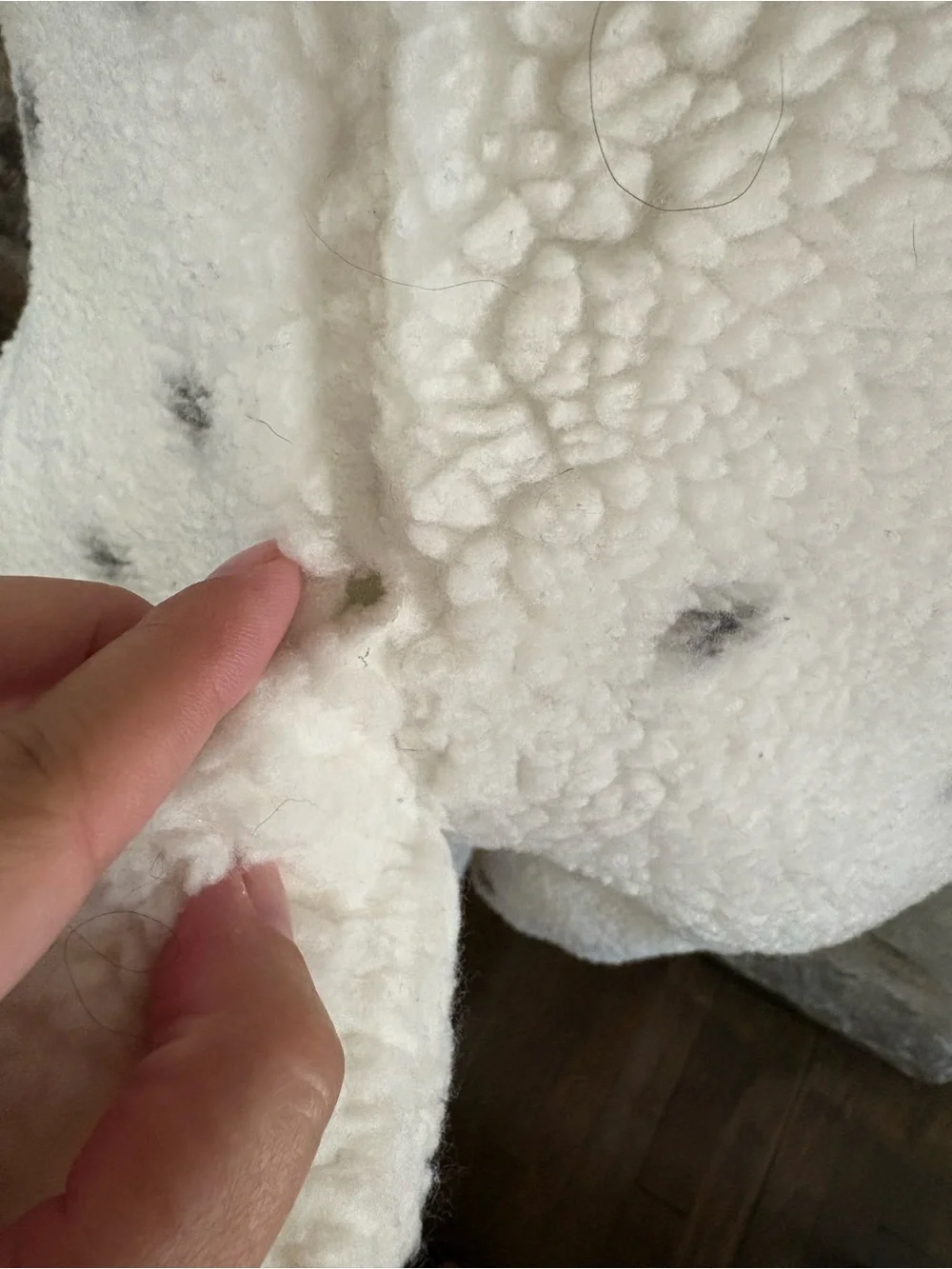 Disney soft sherpa